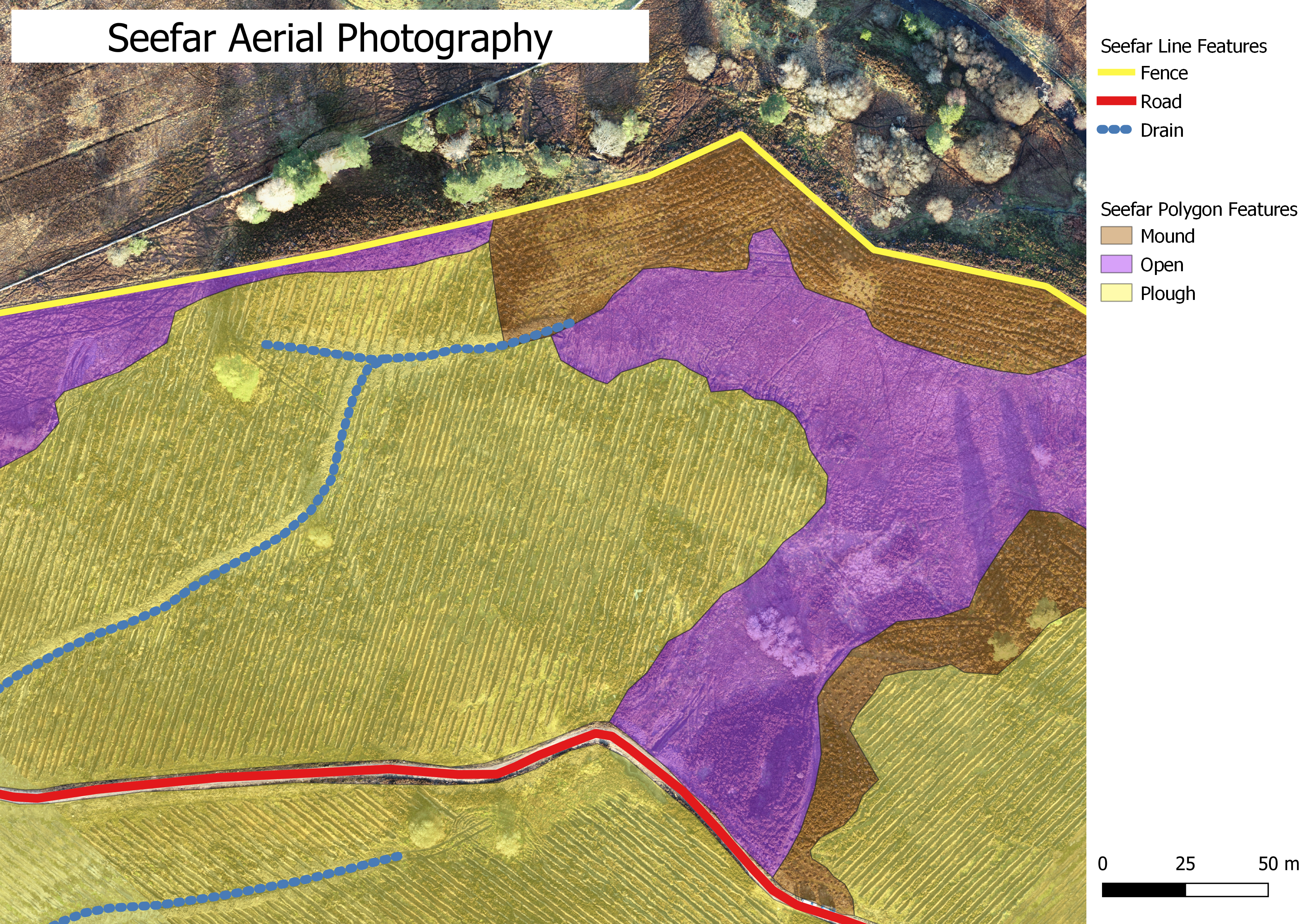 Final Survey Results